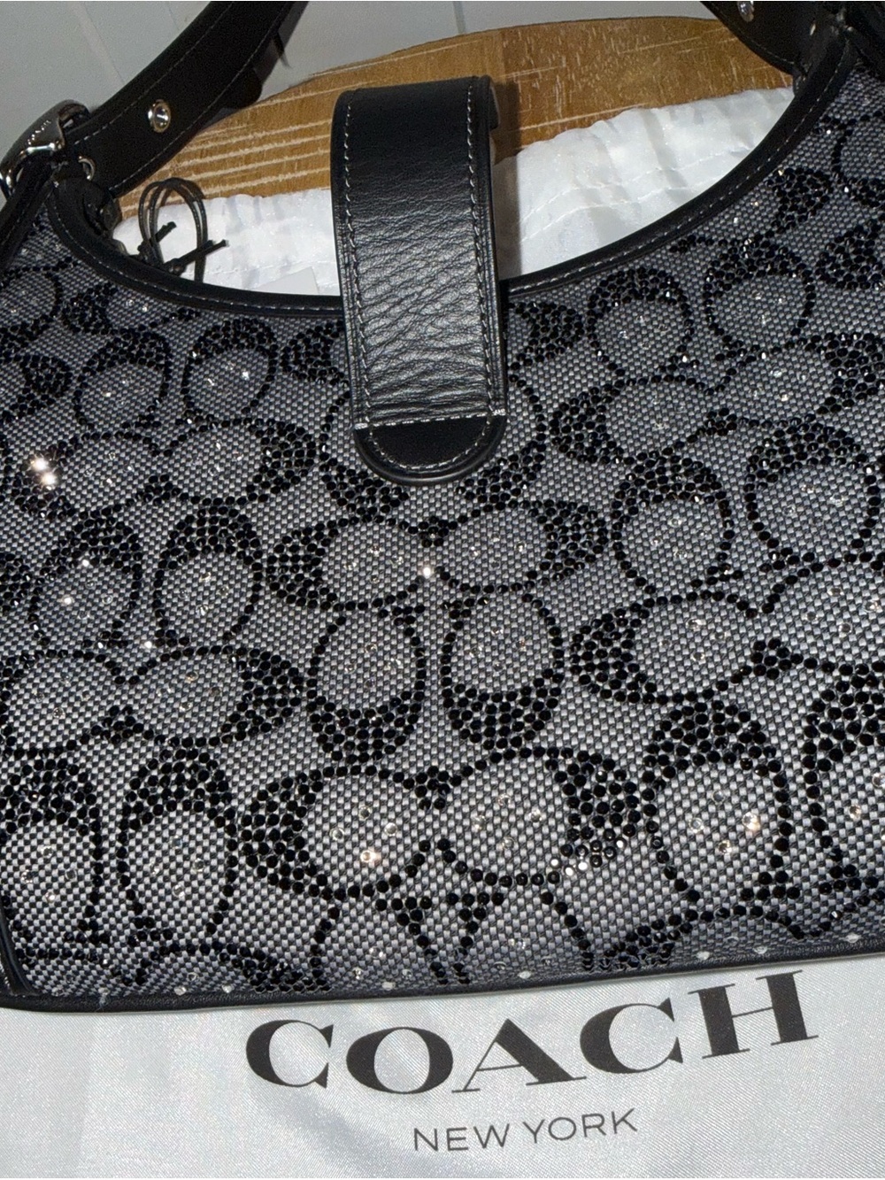 BNWT!!! Limited Edition Coach Black Signature Crystal Hampton Hobo Bag - Picture 9 of 9